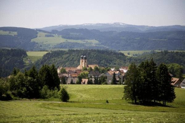 Gaestehaus Wald Und See Titisee-Neustadt Extérieur photo
